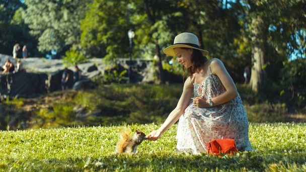 Young girl feeding a squirrel in Central Park, New York - Fotó, kép