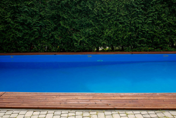 swimming pool and green hedge - Foto, Imagem