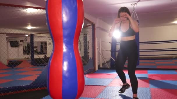 Dívčí boxerka trénuje rány. Profesionální ženský box - Záběry, video