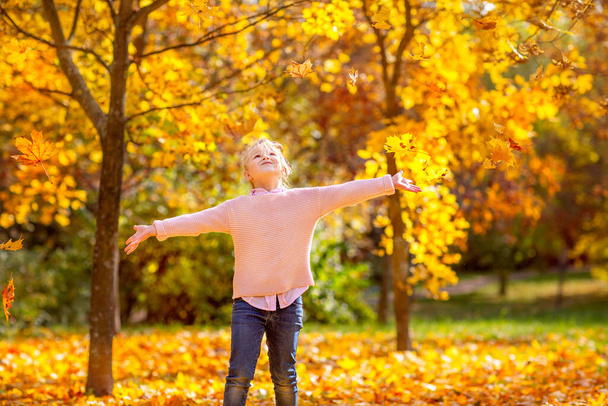 Dívka na podzim v lese si hraje s padlým listím na čerstvém vzduchu - Fotografie, Obrázek