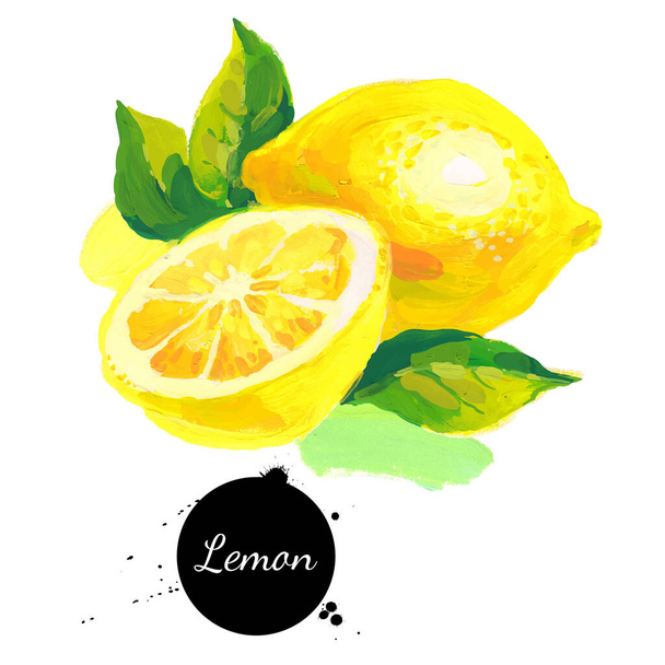 Hand drawn sketch acrylic watercolor painting on white background. Vector illustration of fruit lemo - Vector, Image