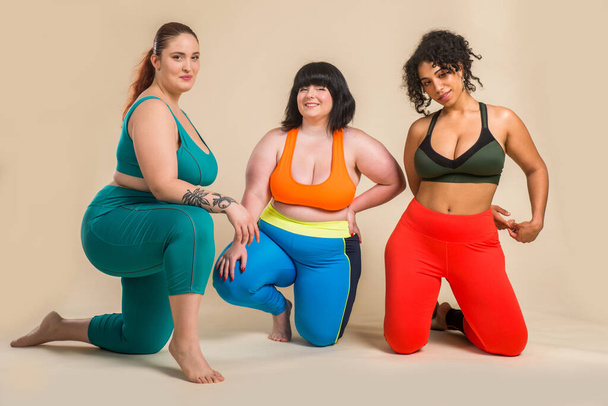 Group of 3 oversize women posing in studio - Beautiful girls accepting body imperfection, beauty shots in studio - Concepts about body acceptance, body positivity and diversity - Fotoğraf, Görsel