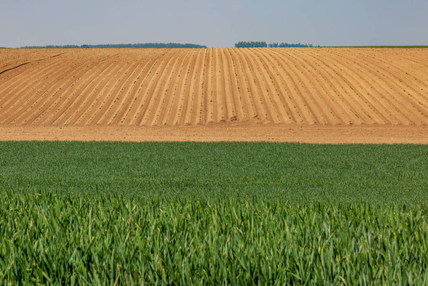 A landscape of fields in rural France - Foto, Imagem