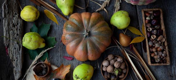 Autumn still life on a wooden table top view. Pumpkin, chestnuts, acorns, quince, nuts, cones. Rustic background. - Photo, Image