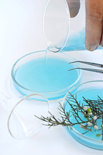 trasfusione di liquido blu in vetreria da laboratorio su fondo bianco - Foto, immagini