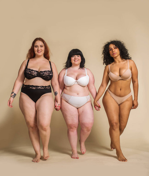 Group of 3 oversize women posing in studio - Beautiful girls accepting body imperfection, beauty shots in studio - Concepts about body acceptance, body positivity and diversity - Photo, Image