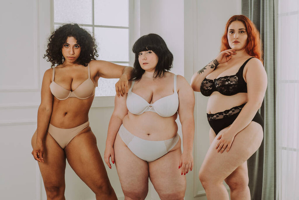 Group of 3 oversize women posing in studio - Beautiful girls accepting body imperfection, beauty shots in studio - Concepts about body acceptance, body positivity and diversity - Foto, afbeelding