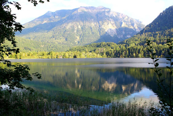 Aşağı Avusturya 'daki Lunz Gölü' nün muhteşem manzarası - Fotoğraf, Görsel
