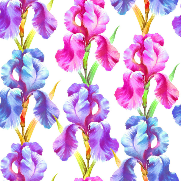 Watercolor hand paint iris flower, seamless pattern for textile, wallpaper,background. - Foto, afbeelding
