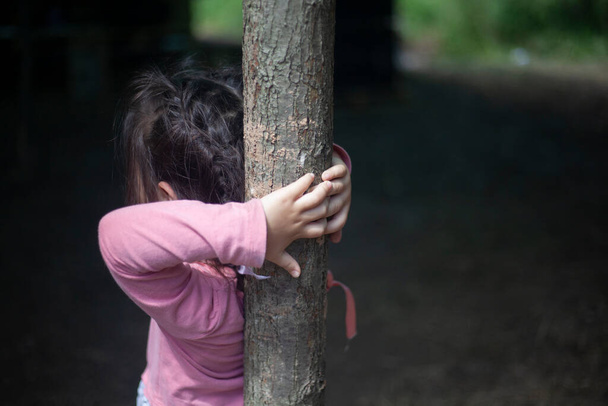 The child wrapped his arms around the tree.  - Zdjęcie, obraz