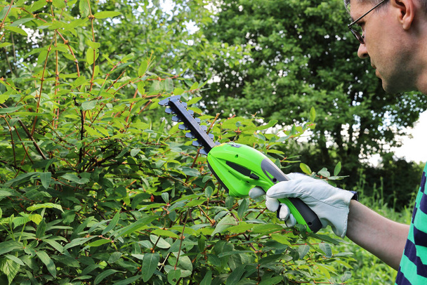 Člověk pracuje na zahradě. Ruka v kožené rukavici drží přenosné elektrické nůžky na živý plot. Letní den na pozadí zelených rostlin - Fotografie, Obrázek