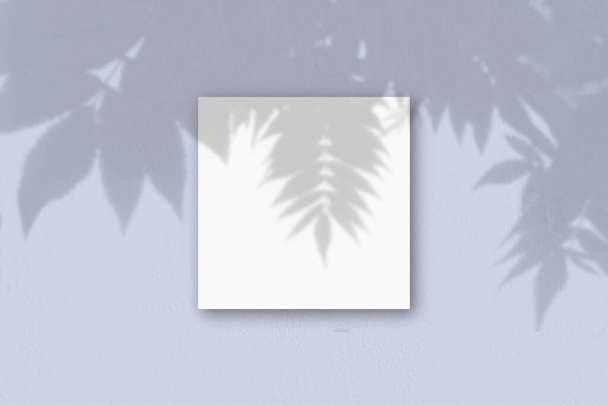 Квадратный лист белой текстурированной бумаги на фоне синей стены. Наложение макета на тени растений. Натуральный свет теней экзотического планетария - Фото, изображение