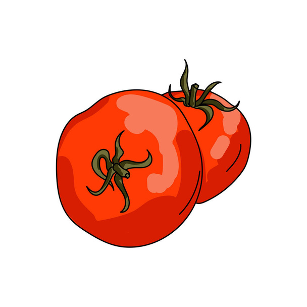 Dwa czerwone pomidory, ładny narysować wektor ilustracji projektu i kreatywności - Wektor, obraz