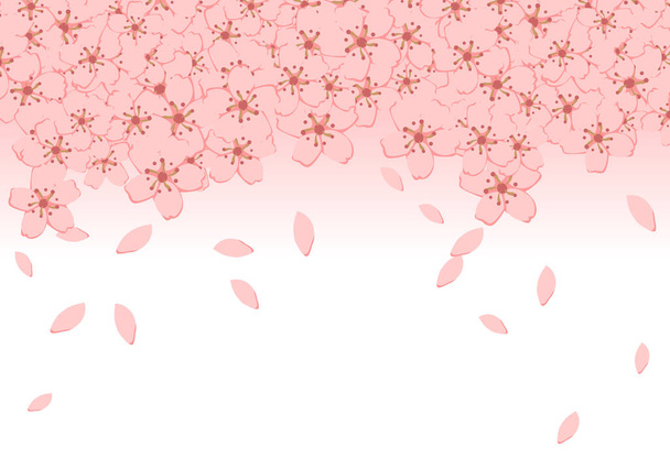 Sakura cherry blossom flower petals background. vector illustration. - Vector, Image