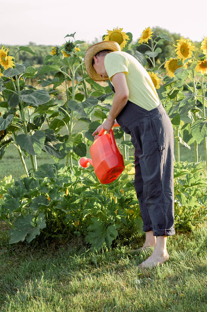  man watering flowers in the garden at summer sunny day. Gardening activity  - Zdjęcie, obraz