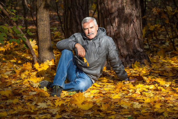 портрет пожилого человека, сидящего на ковре из кленового листа в осеннем парке - Фото, изображение