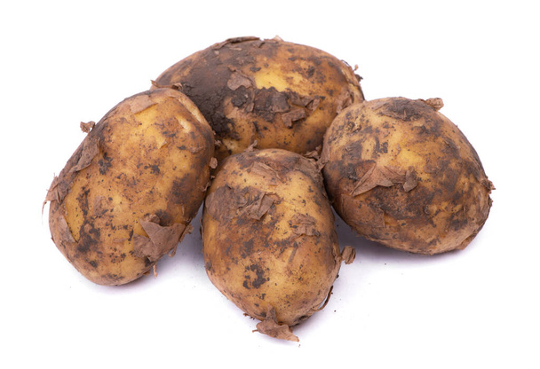 Група нової картоплі з грунтом ізольовані на білому тлі
 - Фото, зображення
