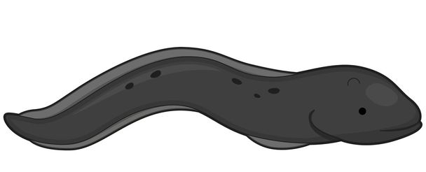 Anguila
 - Vector, imagen