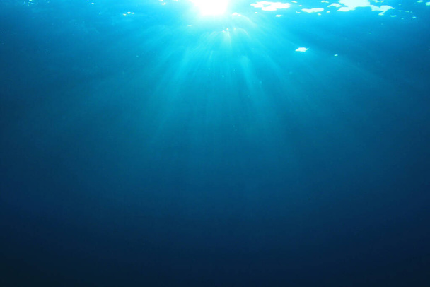 beautiful underwater landscape of the ocean - Foto, imagen