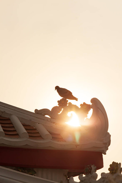 Un pigeon se perche sur le toit de l'ancien sanctuaire chinois au coucher du soleil, le rayon de soleil brille à travers le pignon et la mosaïque de fleurs. Wat Arun, attractions touristiques à Bangkok, Thaïlande. Silhouette. - Photo, image