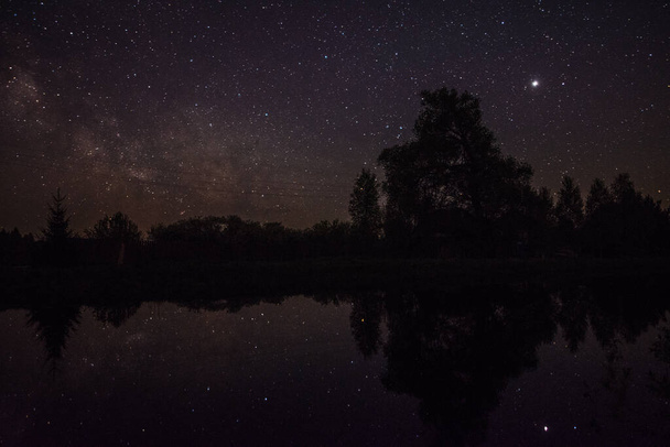 Reflection of stars and trees in the pond at night - Фото, изображение