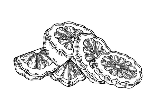 Graphic sliced bergamot fruits and leaves. Vector botanical design - Διάνυσμα, εικόνα