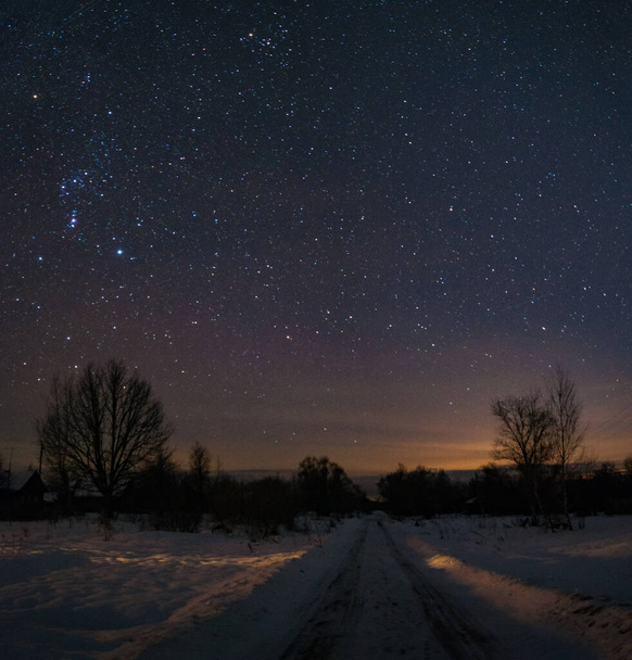 The road in Russian village , frosty and snowy at night. The trees and the starry sky overhead. The constellation of Orion shines in the sky. - 写真・画像