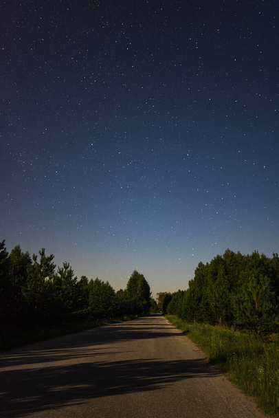 The road in the moonlight and around the tree - Valokuva, kuva