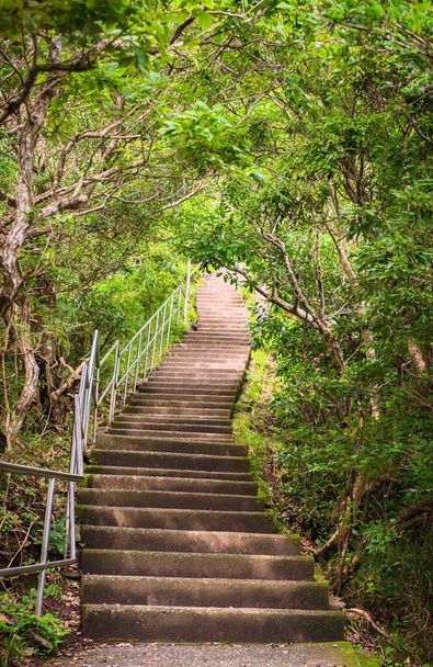 Каменная пешеходная лестница, ведущая через лес каменоломни горы Нокогири к точке обзора скалы Джигоку Нозоки с видом на полуостров Босо. - Фото, изображение