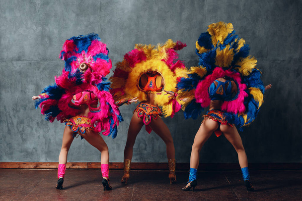 Τρεις γυναίκες σε βραζιλιάνικη στολή καρναβαλιού σάμπα με πολύχρωμα φτερά φτέρωμα - Φωτογραφία, εικόνα