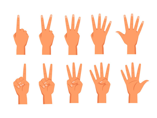 Set of vector hands showing fingers count - Vector, Image