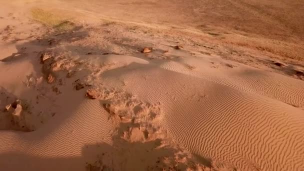 Aerial näkymä beige-kultainen heiluttaen kuvio hiekkadyynit auringonlaskun aikaan. 4K drone laukaus aavikon luonto paljastaa ilmastonmuutoksen käsite. Kuiva lämpö sää osoittaa globaalin lämpötilan nousu - Materiaali, video