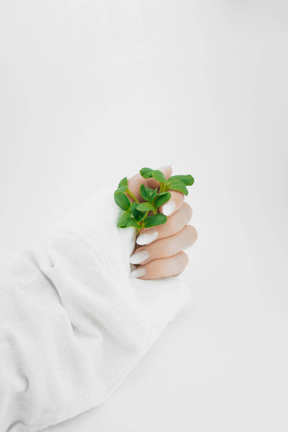 green small sprout in the women's hand, save the planet - Foto, imagen