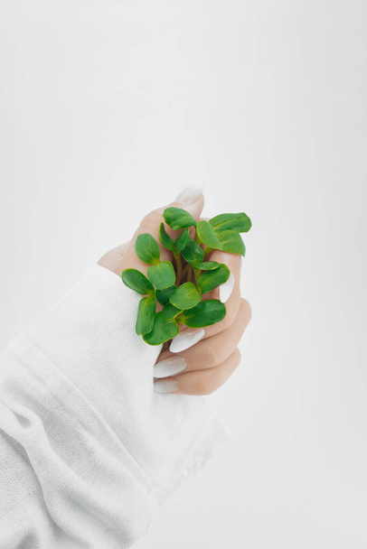 зелена маленька паростка в жіночій руці, врятуйте планету
 - Фото, зображення