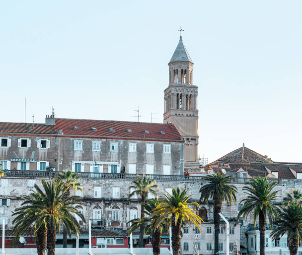 Riviera kaupungin Split, Kroatia. Vihreitä kauniita palmuja rannalla. Vanha kellotorni pyhimys dominus kurkistaa yli vanhan kaupungin rakennuksia.Tower peitetty rakennustelineitä aikana restauration - Valokuva, kuva