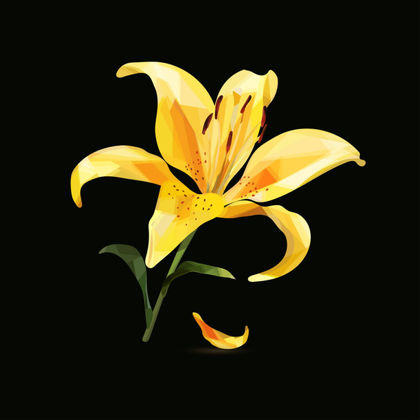 Faible fleur de lys délicate jaune poly sur un fond sombre. Illustration vectorielle. - Vecteur, image