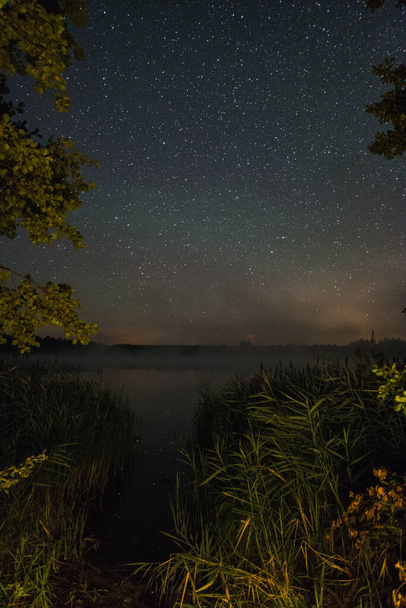 By the lake on a starry summer night - Foto, Imagen