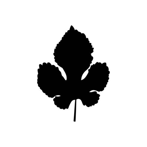 Doodle-Blatt-Symbol isoliert auf weiß. Schablonenblatt der Maulbeere. Vektor Stock Illustration. EPS 10 - Vektor, Bild