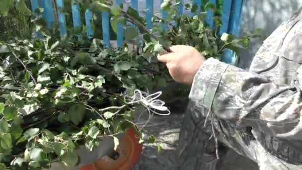 мужчина готовит березовые веники для бани - Кадры, видео