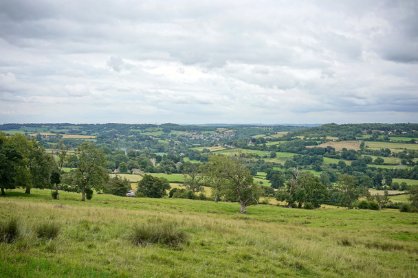 zomer landschap met een veld en wolken - Foto, afbeelding