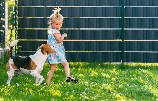 Dziewczynka biegająca z psem na podwórku w letni dzień. Domowe zwierzę z koncepcją dzieci. Pies goni 2-3-latka, biegnie po leczeniu. - Zdjęcie, obraz