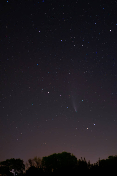 El cometa Neowise en el cielo nocturno estrellado negro. Cielo nocturno, espacio. El cielo del hemisferio norte por la noche, varias constelaciones, cometas y cuerpos celestes cósmicos
. - Foto, imagen