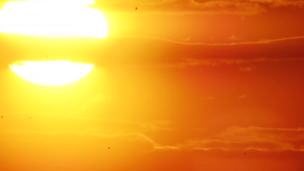 schöner orangefarbener Himmel - Filmmaterial, Video