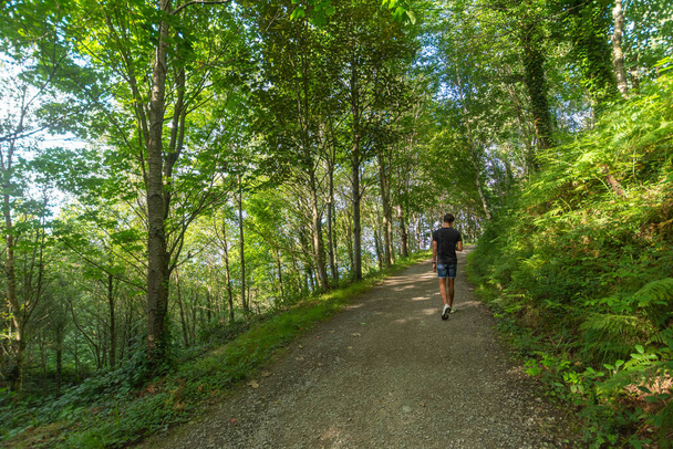 Szerokie ujęcie młodego człowieka spacerującego ścieżką w lesie, pewnego letniego popołudnia, poziomo - Zdjęcie, obraz