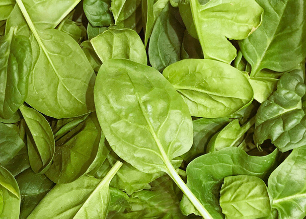 Image Of Baby Spinach Leaves - Photo, Image