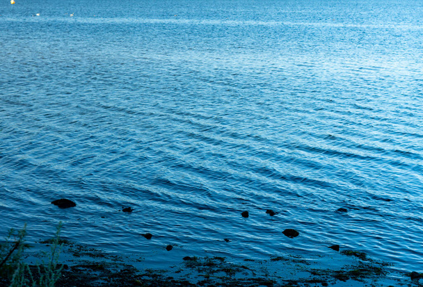 A sáros tó partján látható a kimosódott növényzet, amely a hullámzó vízre vezet.. - Fotó, kép