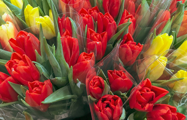 Close-Up Of Red Tulips Background - Фото, изображение
