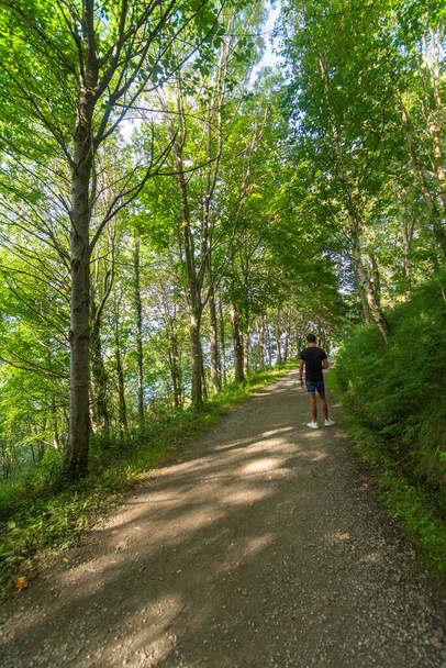Sentiero forestale con giovane sulla schiena, fare una passeggiata, un pomeriggio d'estate, nel nord della Spagna, verticalmente - Foto, immagini