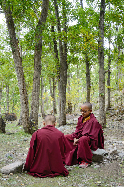 Young tibetan Monks - Foto, Bild