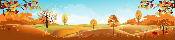 Panoramica del paesaggio di campagna in autunno, Illustrazione vettoriale della bandiera orizzontale del paesaggio autunnale montagne e aceri caduti con fogliame giallo, Vista autunnale panoramica in serata con sole - Vettoriali, immagini